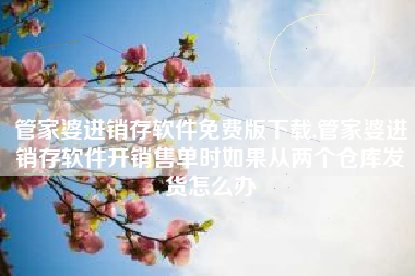 管家婆进销存软件免费版下载,管家婆进销存软件开销售单时如果从两个仓库发货怎么办