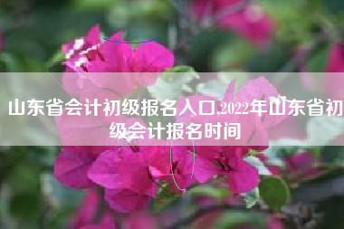 山东省会计初级报名入口,2022年山东省初级会计报名时间