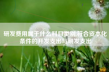 研发费用属于什么科目类别,符合资本化条件的开发支出与研发支出