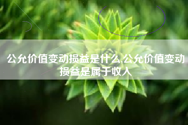 公允价值变动损益是什么,公允价值变动损益是属于收入