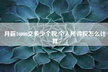 月薪16000交多少个税,个人所得税怎么计算