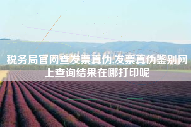 税务局官网查发票真伪,发票真伪鉴别网上查询结果在哪打印呢