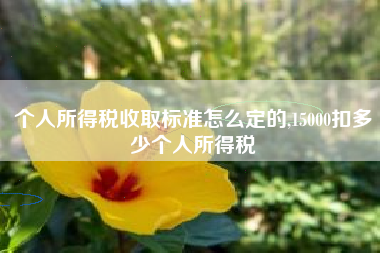 个人所得税收取标准怎么定的,15000扣多少个人所得税