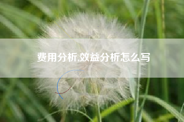 费用分析,效益分析怎么写