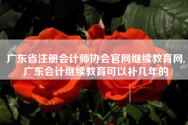 广东省注册会计师协会官网继续教育网,广东会计继续教育可以补几年的
