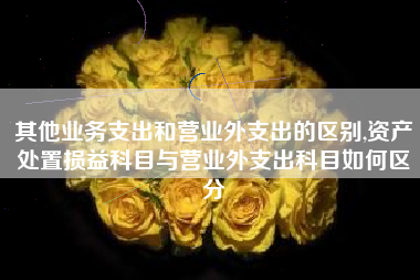其他业务支出和营业外支出的区别,资产处置损益科目与营业外支出科目如何区分