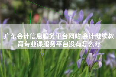 广东会计信息服务平台网站,会计继续教育专业课服务平台没有怎么办