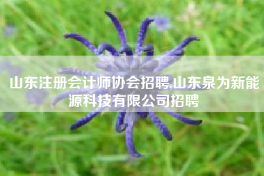 山东注册会计师协会招聘,山东泉为新能源科技有限公司招聘