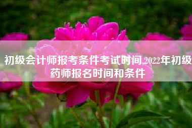 初级会计师报考条件考试时间,2022年初级药师报名时间和条件
