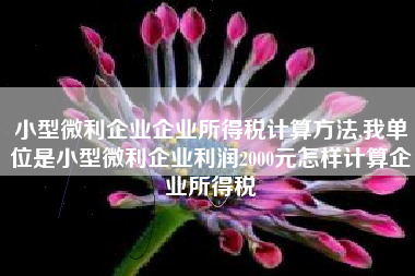 小型微利企业企业所得税计算方法,我单位是小型微利企业利润2000元怎样计算企业所得税