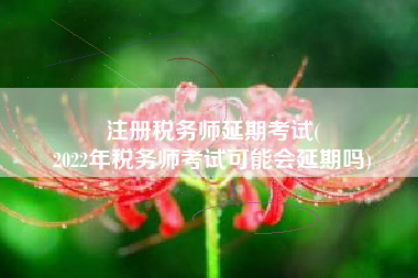 注册税务师延期考试(
2022年税务师考试可能会延期吗)