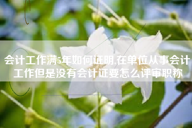 会计工作满5年如何证明,在单位从事会计工作但是没有会计证要怎么评审职称