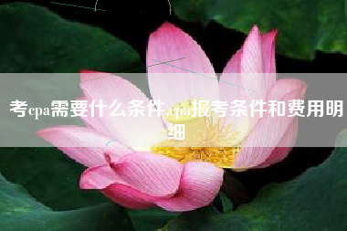 考cpa需要什么条件,cpa报考条件和费用明细