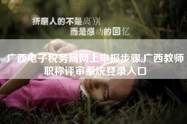 广西电子税务局网上申报步骤,广西教师职称评审系统登录入口