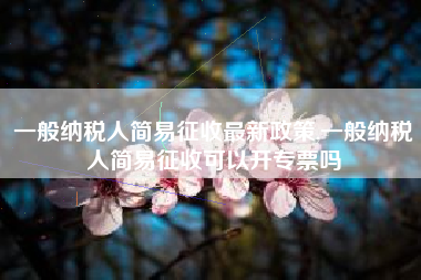 一般纳税人简易征收最新政策,一般纳税人简易征收可以开专票吗