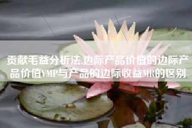 贡献毛益分析法,边际产品价值的边际产品价值VMP与产品的边际收益MR的区别