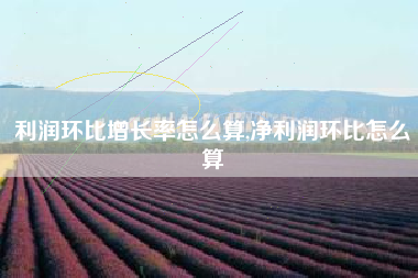 利润环比增长率怎么算,净利润环比怎么算