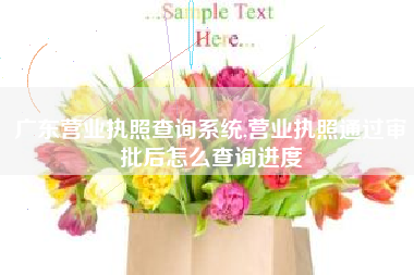 广东营业执照查询系统,营业执照通过审批后怎么查询进度