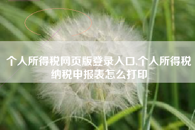个人所得税网页版登录入口,个人所得税纳税申报表怎么打印