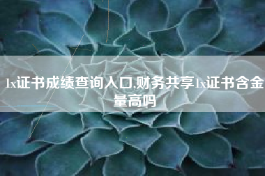 1x证书成绩查询入口,财务共享1x证书含金量高吗