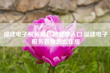 福建电子税务局官网登录入口,福建电子税务普票怎么作废