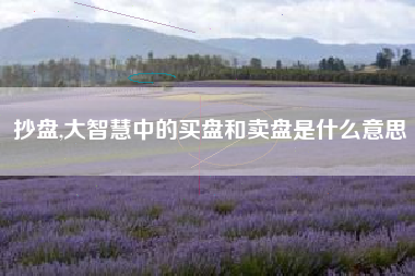 抄盘,大智慧中的买盘和卖盘是什么意思