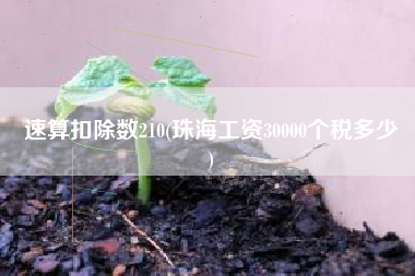 速算扣除数210(珠海工资30000个税多少
)