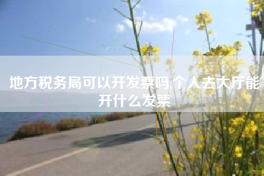 地方税务局可以开发票吗,个人去大厅能开什么发票
