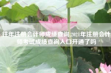 往年注册会计师成绩查询,2021年注册会计师考试成绩查询入口开通了吗