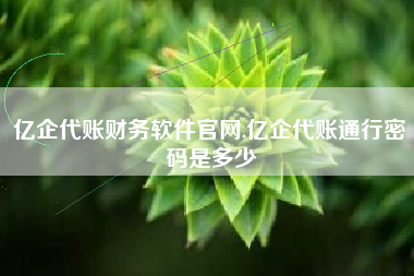亿企代账财务软件官网,亿企代账通行密码是多少