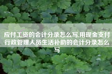 应付工资的会计分录怎么写,用现金支付行政管理人员生活补助的会计分录怎么写