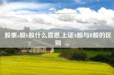 股票a股b股什么意思,上证A股与B股的区别