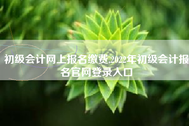 初级会计网上报名缴费,2022年初级会计报名官网登录入口