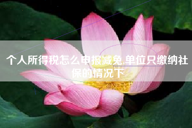 个人所得税怎么申报减免,单位只缴纳社保的情况下
