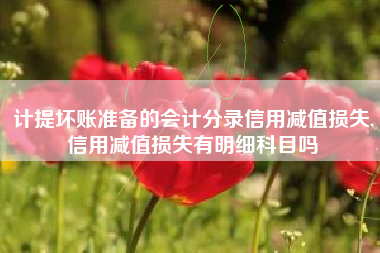 计提坏账准备的会计分录信用减值损失,信用减值损失有明细科目吗