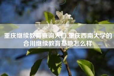 重庆继续教育查询入口,重庆西南大学的合川继续教育基地怎么样