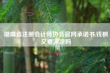 湖南省注册会计师协会官网承诺书,钱枫又要凉凉吗