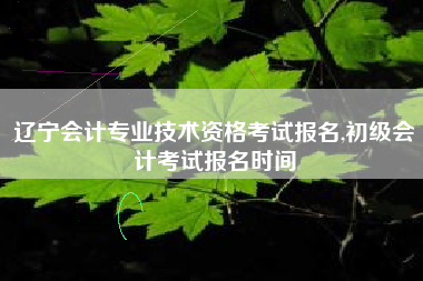 辽宁会计专业技术资格考试报名,初级会计考试报名时间