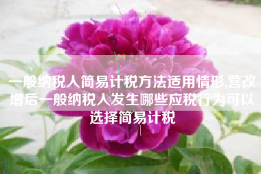 一般纳税人简易计税方法适用情形,营改增后一般纳税人发生哪些应税行为可以选择简易计税