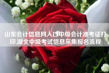 山东会计信息网入口中级会计准考证打印,湖北中级考试信息采集报名流程