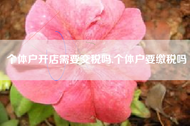 个体户开店需要交税吗,个体户要缴税吗