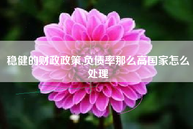 稳健的财政政策,负债率那么高国家怎么处理