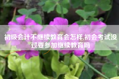 初级会计不继续教育会怎样,初会考试没过要参加继续教育吗