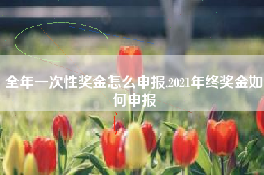 全年一次性奖金怎么申报,2021年终奖金如何申报