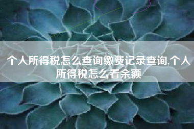 个人所得税怎么查询缴费记录查询,个人所得税怎么看余额