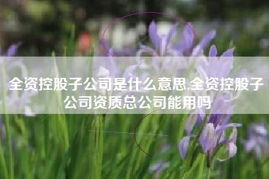 全资控股子公司是什么意思,全资控股子公司资质总公司能用吗