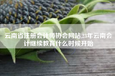 云南省注册会计师协会网站,23年云南会计继续教育什么时候开始