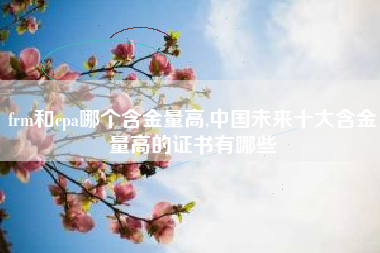 frm和cpa哪个含金量高,中国未来十大含金量高的证书有哪些