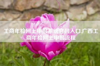 工商年检网上申报系统官网入口,广西工商年检网上申报流程