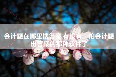 会计题在哪里搜答案,有没有一拍会计题出答案的那种软件了